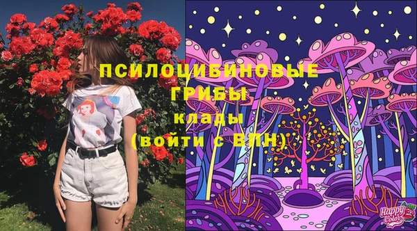 тгк Белокуриха
