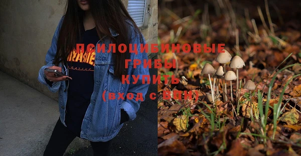 тгк Белокуриха