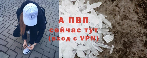 тгк Белокуриха