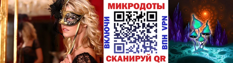 Псилоцибиновые грибы Cubensis  Гаврилов-Ям 